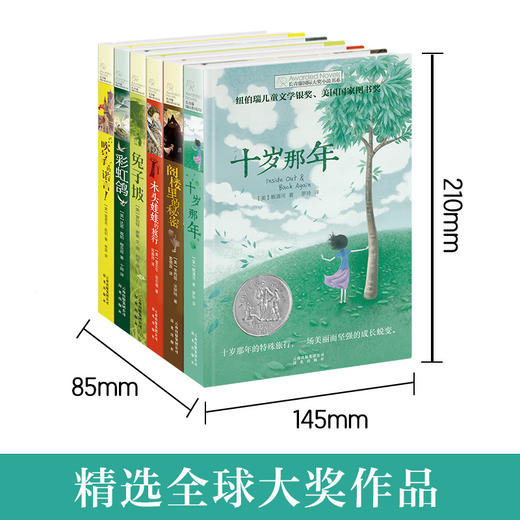 吹号手的诺言！彩虹鸽 兔子坡 木头娃娃 阁楼里的秘密 十岁那年1-6长青藤国际大奖小说第一辑套装6册 商品图1