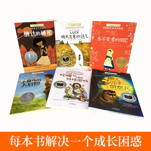 小荷马的大冒险 糖人沼泽侦察兵 坏脾气的玛格丽特 明天会有好运气 倩达的秘密 永不变老的日记 4-6长青藤国际大奖小说第四辑套装6册 商品图1