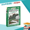 神秘的日落山  六年级共读书卡罗尔·肯德尔/著正版现货速发|名师推荐|小学生课外阅读6年级 商品缩略图0