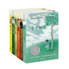 吹号手的诺言！彩虹鸽 兔子坡 木头娃娃 阁楼里的秘密 十岁那年1-6长青藤国际大奖小说第一辑套装6册 商品缩略图4