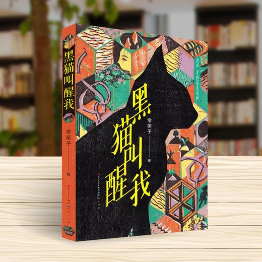 黑猫叫醒我   四年级正版现货速发|名师推荐|小学生课外阅读4年级 商品图1