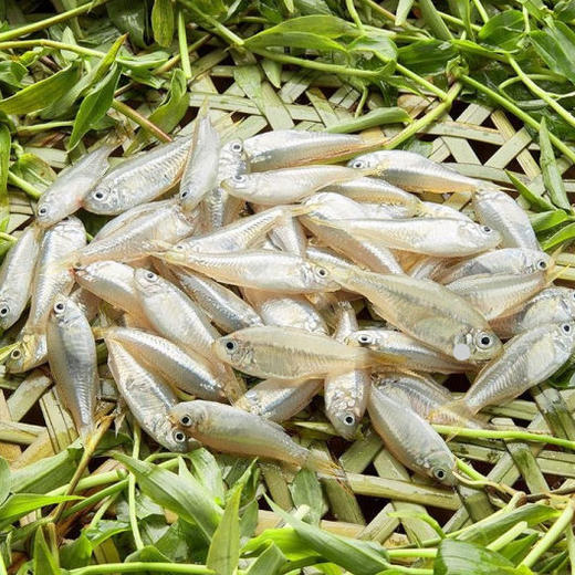 8元/盒/400克 营养价值高高!