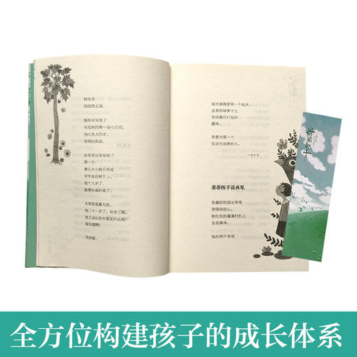 吹号手的诺言！彩虹鸽 兔子坡 木头娃娃 阁楼里的秘密 十岁那年1-6长青藤国际大奖小说第一辑套装6册 商品图3