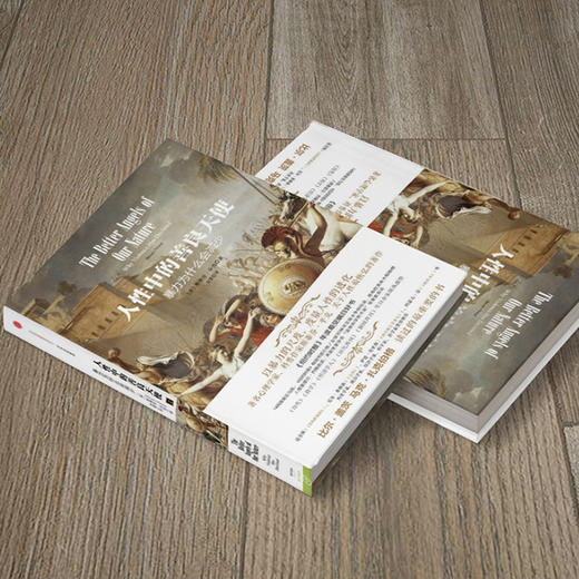 人性中的善良天使：暴力为什么会减少（套装上下册） 商品图4