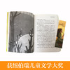 芒果猫 阿比琳的夏天 胡桃木小姐 妖精的小孩 枫树山的奇迹 作文里的奇案3-6长青藤国际大奖小说第三辑套装6册 商品缩略图1
