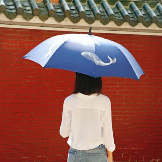 南周文创-鲸鱼长柄雨伞&晴雨两用小伞 商品图3