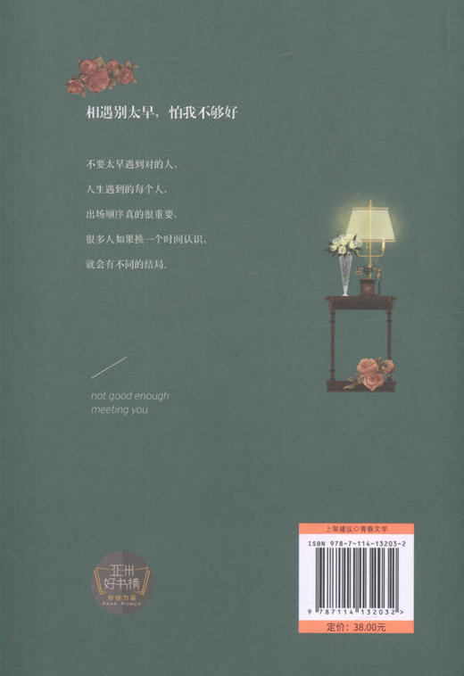 【正版现货】相遇别太早，怕我不够好 青年男女的爱情故事 柯江芮 著 商品图3
