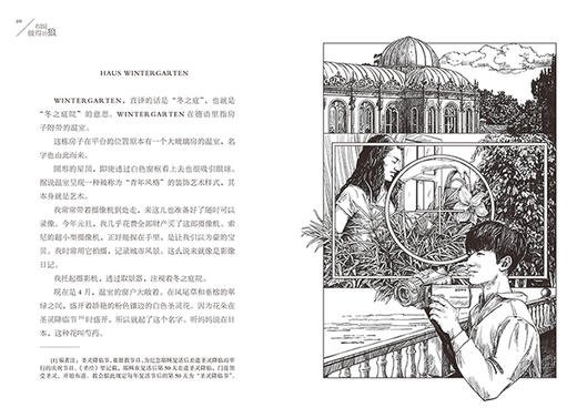 名叫彼得的狼   长青藤国际大奖小说书系儿童文学读物 商品图3