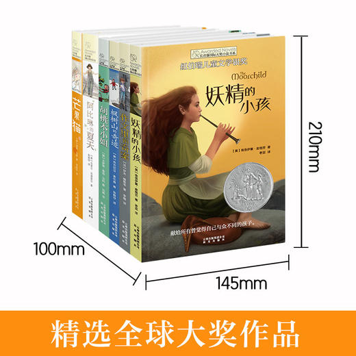 芒果猫 阿比琳的夏天 胡桃木小姐 妖精的小孩 枫树山的奇迹 作文里的奇案3-6长青藤国际大奖小说第三辑套装6册 商品图4