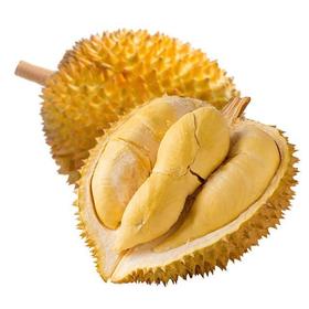 金枕榴莲5斤起购