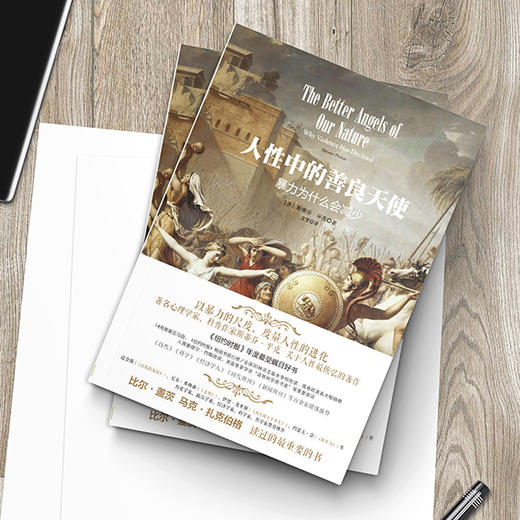 人性中的善良天使：暴力为什么会减少（套装上下册） 商品图2