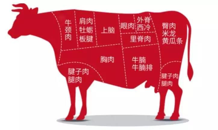 雪龙黑牛牛肉中国的神户牛肉
