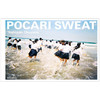 【预订】POCARI SWEAT，奥山由之写真集 商品缩略图0