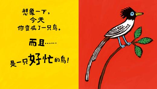 好忙的鸟儿   学前中班共读书目正版现货速发|名师推荐| 商品图3