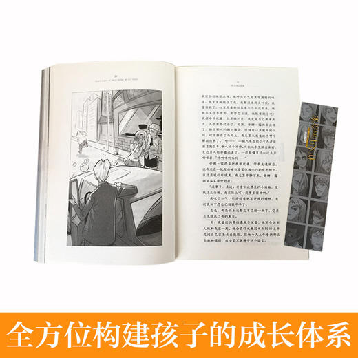 芒果猫 阿比琳的夏天 胡桃木小姐 妖精的小孩 枫树山的奇迹 作文里的奇案3-6长青藤国际大奖小说第三辑套装6册 商品图3