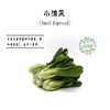 生态小油菜 | 清脆鲜嫩 | 石嫣农场 * Eco-friendly Baby Rapeseed 商品缩略图2