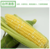 【百汇到家】水果玉米 商品缩略图0