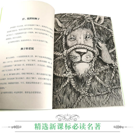 优等生必读文库·世界经典名著主题悦读系列 伊索寓言 商品图3