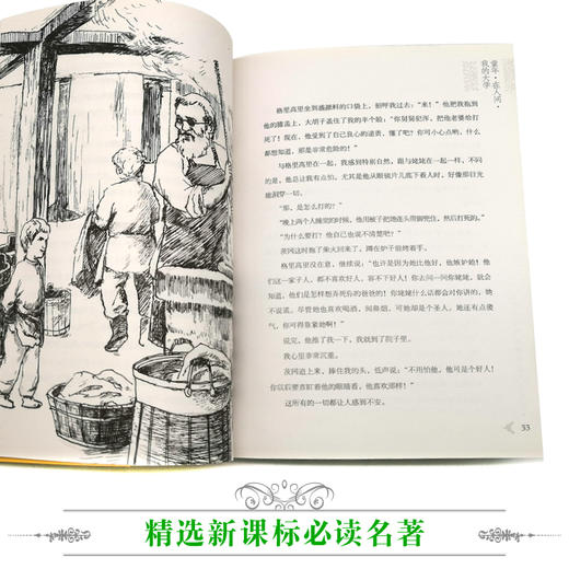 优等生必读文库·世界经典名著主题悦读系列 童年·在人间·我的大学 商品图3