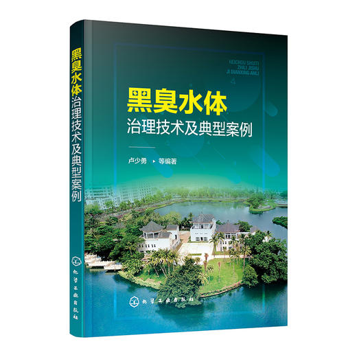 黑臭水体治理技术及典型案例 商品图0