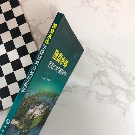 黑臭水体治理技术及典型案例 商品图3