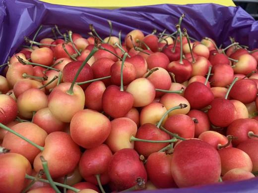 黄樱桃-2斤，仅限杭州主城区直送【预定款】 商品图2