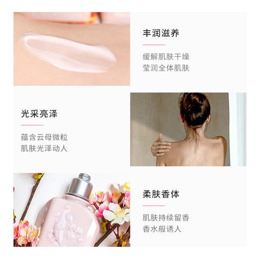 欧舒丹 樱花润肤露/身体乳 250ml/500ml L'OCCITANE/ l'occitane 新老版二选一 商品图1