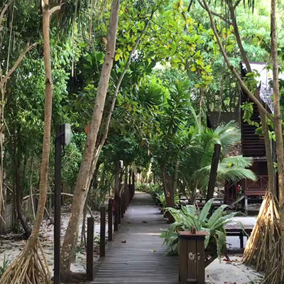 恋海假期 兰卡央度假村 Lankayan度假村 沙巴 山打根 朗卡央 海岛 商品图1