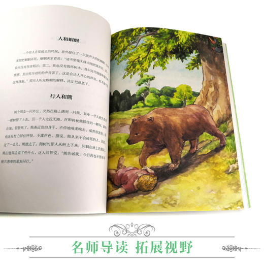 优等生必读文库·世界经典名著主题悦读系列 伊索寓言 商品图4