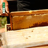 一年一季黑蜂雪蜜新鲜上市！『自然精粹』知农庄园——黑蜂雪蜜 500g 商品缩略图1