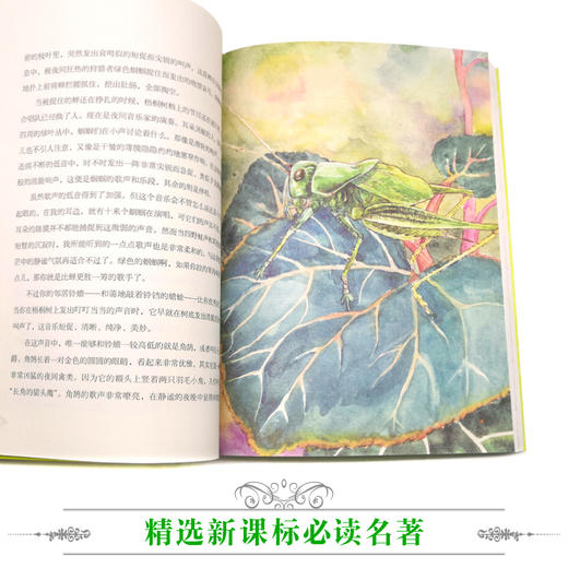 优等生必读文库·世界经典名著主题悦读系列 昆虫记 商品图3