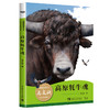 动物故事大王马文秋丛林探险动物故事（全4册）（6-12岁） 商品缩略图0