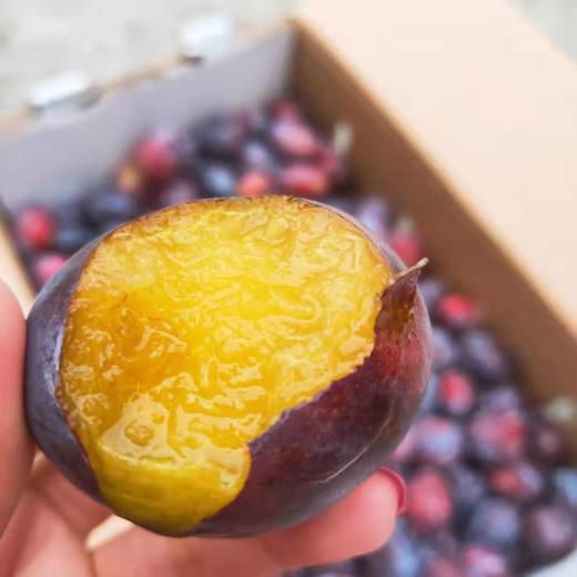 美国大西梅西梅像一位高贵的女神紫衣薄纱清香袭人关键是人家明明靠