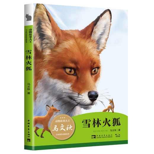 动物故事大王马文秋丛林探险动物故事（全4册）（6-12岁） 商品图3