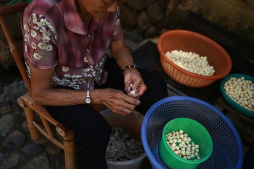 2025年秋武夷五夫手剥莲子 商品图9