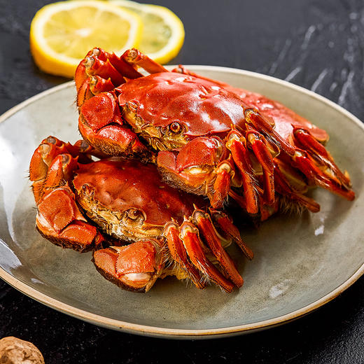 【蟹卡】湖中之W王大闸蟹1988型礼券-母蟹2.5两/10只 商品图4