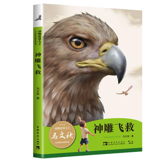 动物故事大王马文秋丛林探险动物故事（全4册）（6-12岁） 商品图2