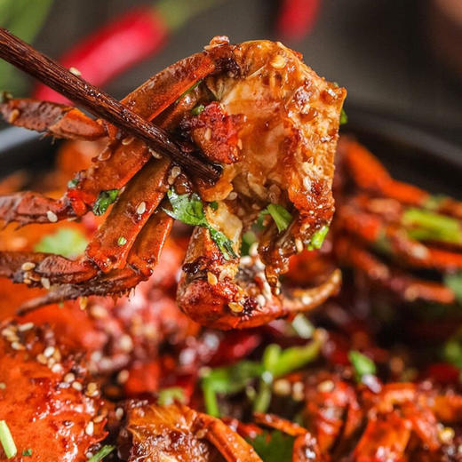 澄和润 六月黄大闸蟹 现货1688型 香辣蟹鲜活1.5-1.8两10只礼盒装