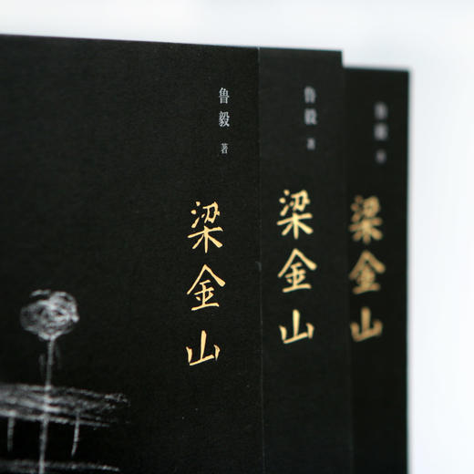梁金山（法国新小说在中国的异质回响 作家鲁毅短篇小说集 “如果可以，我真想用音符来记录它们。”） 商品图1