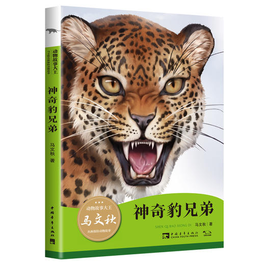 动物故事大王马文秋丛林探险动物故事（全4册）（6-12岁） 商品图1