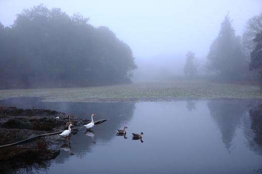 环国旅行G219——丙察察·绝世最美的“滇藏新通道”，赏最美秋色13天摄影 商品图4