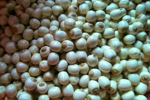 2025年秋武夷五夫手剥莲子 商品图3