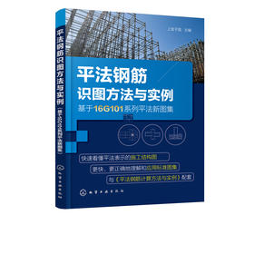 平法钢筋识图方法与实例（基于16G101系列平法新图集）