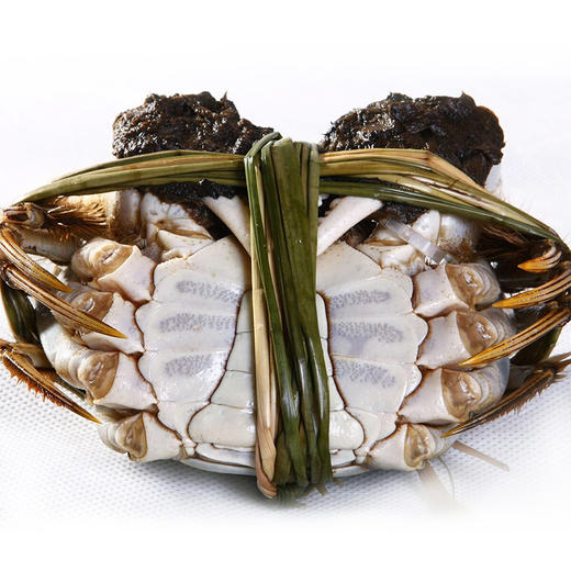 【蟹卡】湖中之W王大闸蟹1988型礼券-母蟹2.5两/10只 商品图3