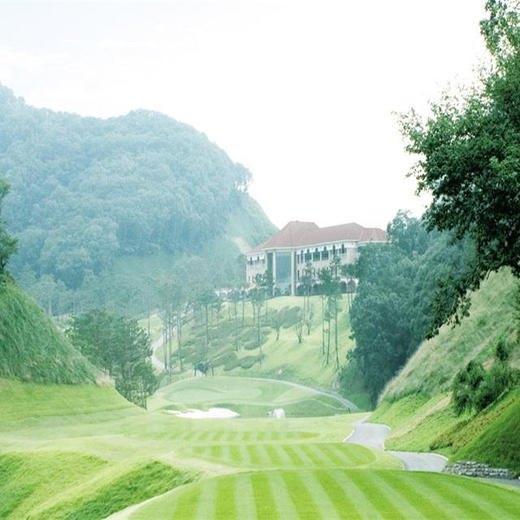 济州岛哈维奇乡村俱乐部    Haevichi Country Club  | 韩国高尔夫球场 俱乐部 | 济州高尔夫 商品图3