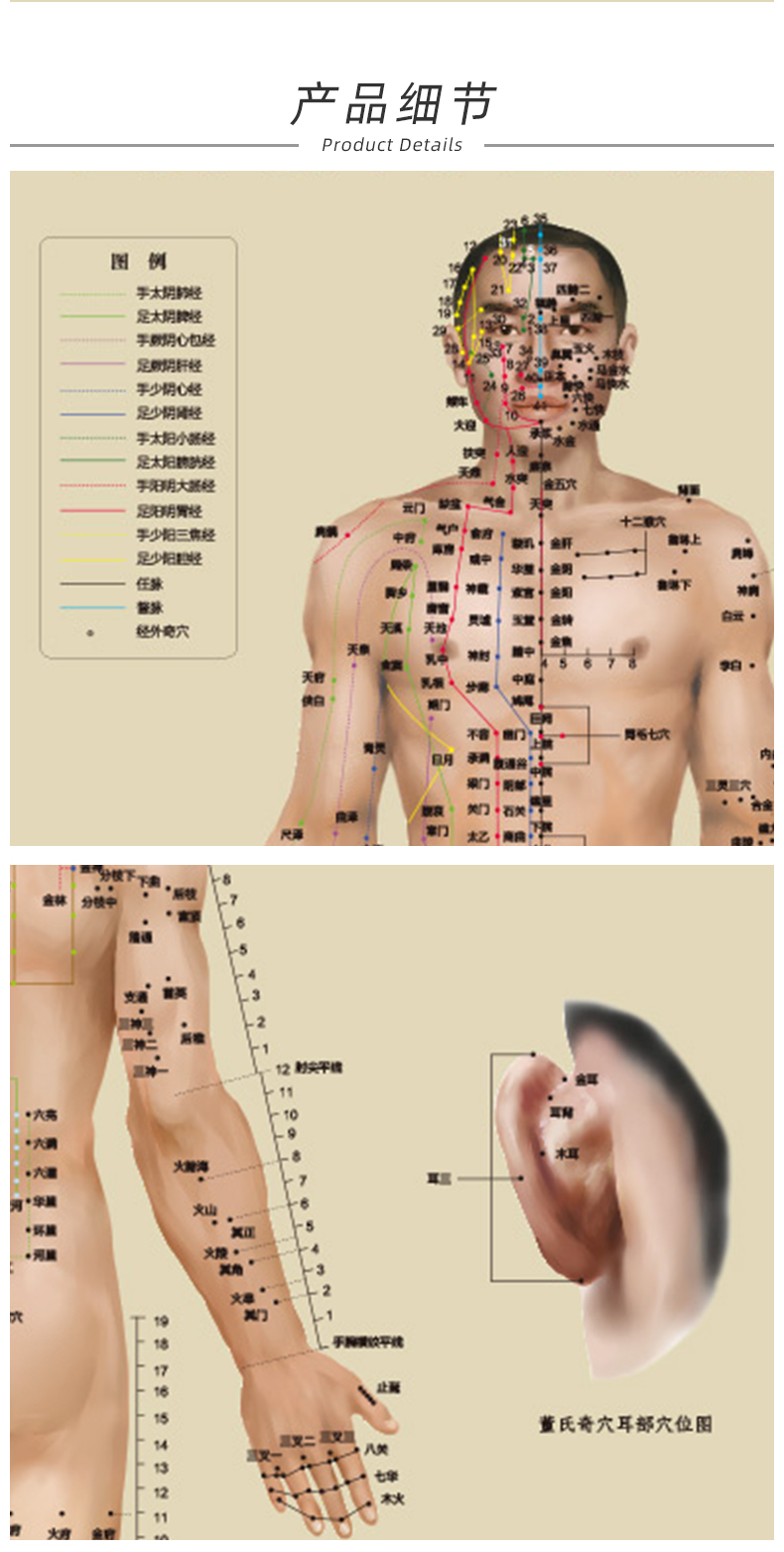 董氏奇穴与经穴对照大挂图针灸穴位挂图