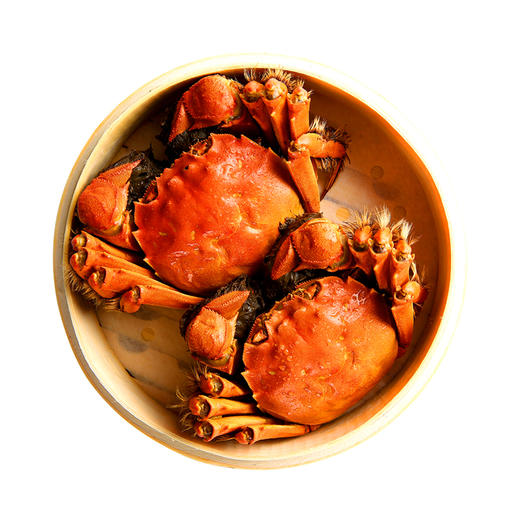 澄和润 六月黄大闸蟹 现货1688型 香辣蟹鲜活1.5-1.8两10只礼盒装