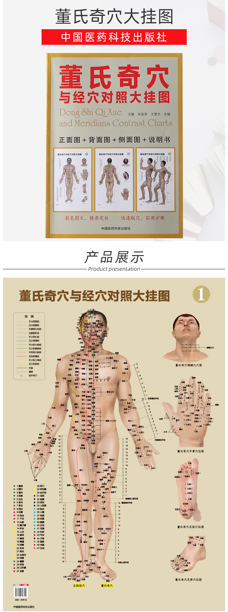 董氏针灸挂图最全图库图片