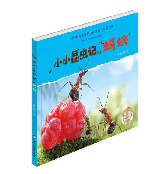 小小昆虫记——蚂蚁 商品图0