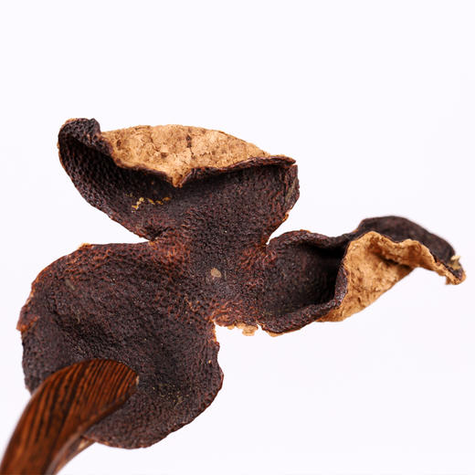 柑天下岁月流金十年陈 新会陈皮10年老陈皮干 炖汤做菜送礼礼盒装 商品图4